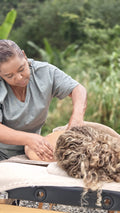 Massage des 5 continents